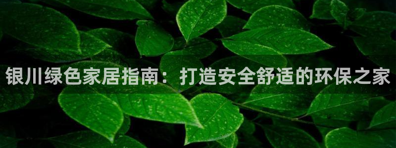 杏耀登陆测速