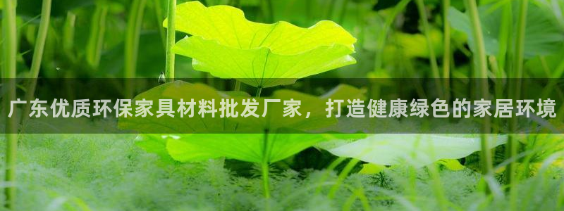 杏耀平台代理