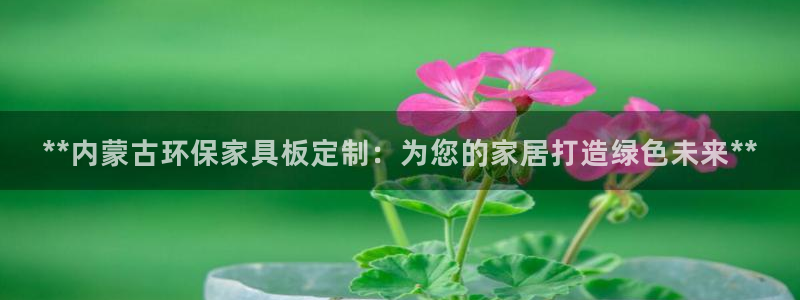 杏耀平台代理怎么赚钱