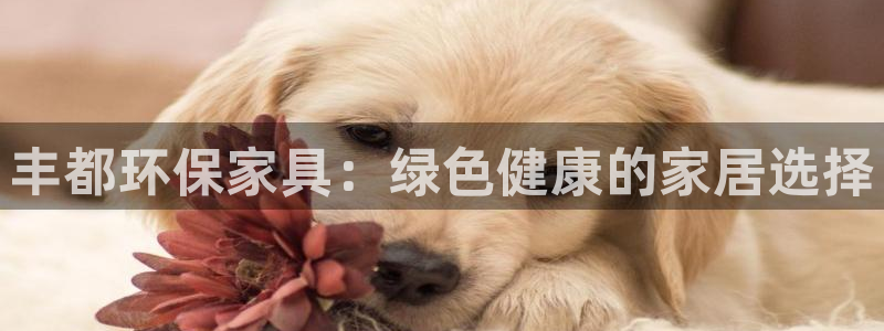 杏耀是什么平台