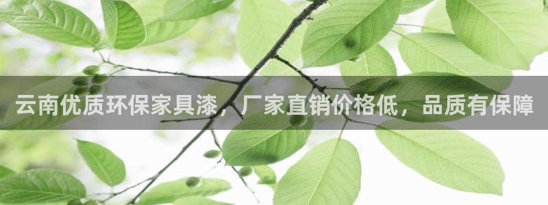 杏耀平台注册代理