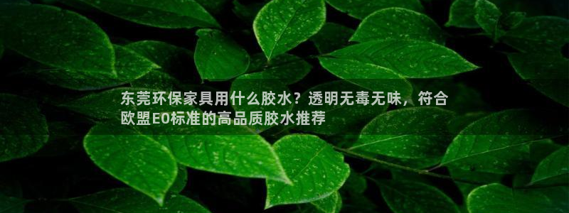 杏耀平台线路测速