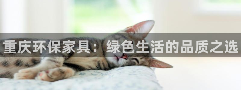 杏耀平台代理登录网址