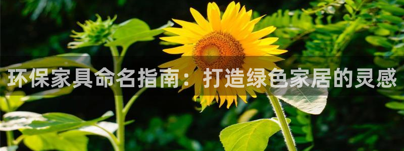 杏耀平台服务中心怎么样