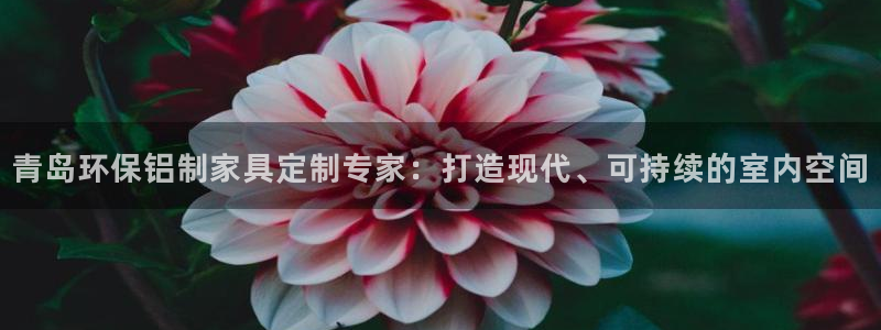 杏耀平台分红