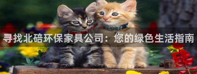 杏耀平台网站是什么：寻找北碚环保家具公司：您的绿色生活指南