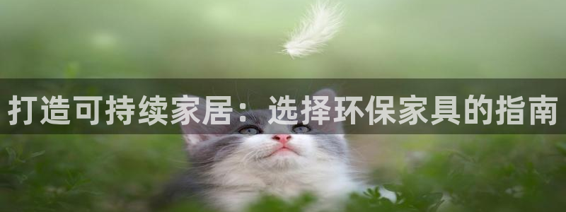 杏耀平台登录检测：打造可持续家居：选择环保家具的指南