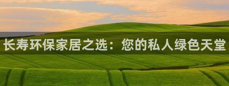 杏耀官方娱乐